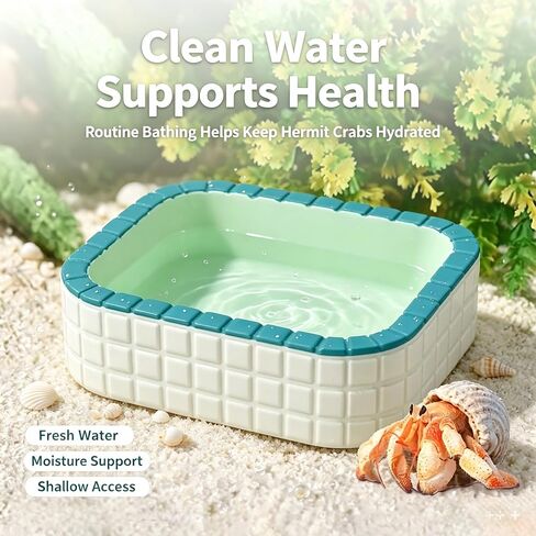 Hermit Crab Bathing Bowl & Feeding Dish, 2 Pack Reptile Habitat Accessories in Kuwait