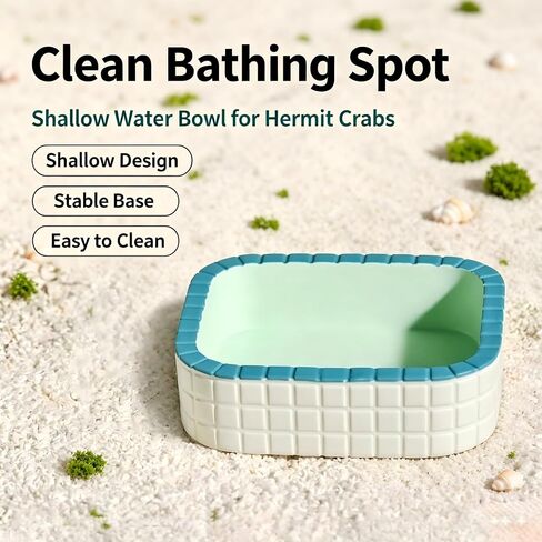 Hermit Crab Bathing Bowl & Feeding Dish, 2 Pack Reptile Habitat Accessories in Kuwait