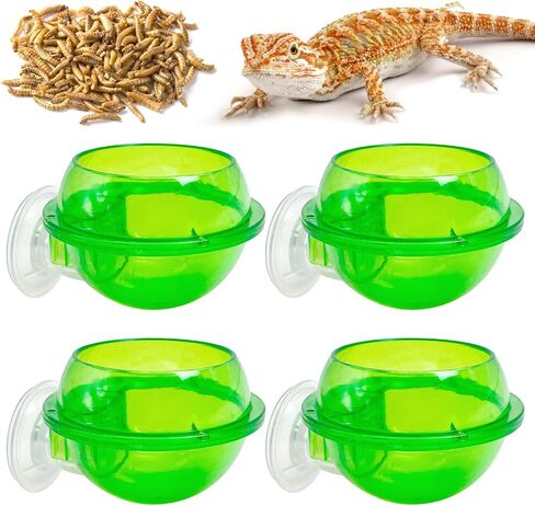 Tfwadmx Chameleon Bowl, Reptile Feeding Feeder,Worm Live Fodder Container, Water Dish Gecko Ledge Suction Cup Feeder Chameleon Supplies Accessories for Gecko Lizard Bearded Snakes Dragon 2 Pcs in Kuwait