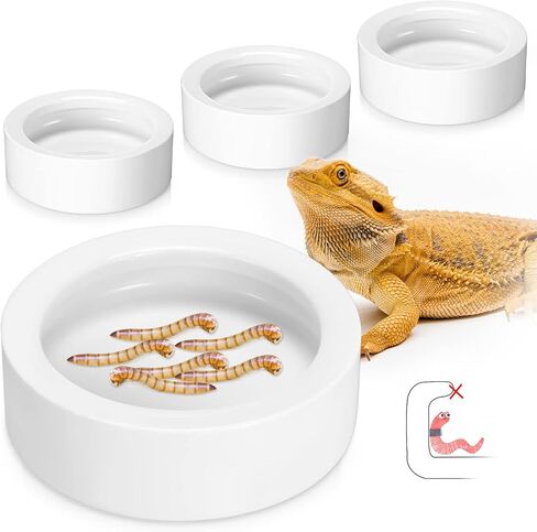 Meanplan 4 Pcs Reptile Bowl Food Dish Reptile Water Food Feeding, 2.71 Inch in Kuwait