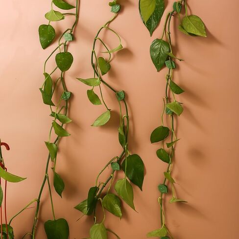 30-Pack Leaf-Shaped Plant Climbing Clips, Self-Adhesive Vine Holders in Kuwait