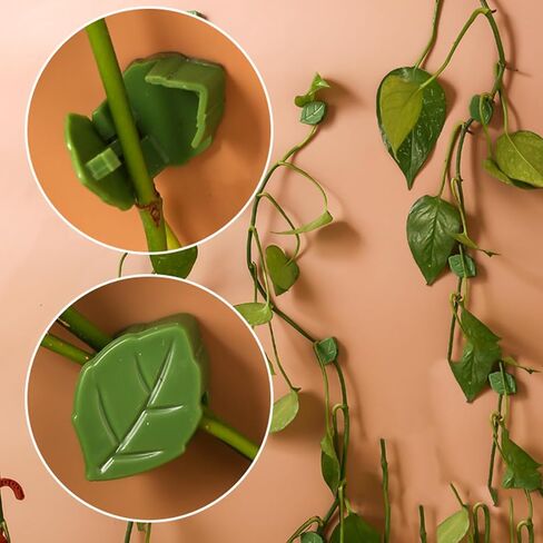 30-Pack Leaf-Shaped Plant Climbing Clips, Self-Adhesive Vine Holders in Kuwait