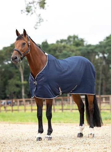 LeMieux Kudos Stable Sheet Navy - Lightweight and Stain Repellent - Durable 1000D Ripstop Outer - 78" in Kuwait