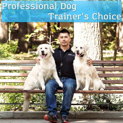 Dog Shock Collar with Remote Control for Dogs 10-140 LBS in Kuwait