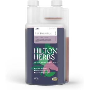 Hilton Herbs Milk Thistle Plus Gold Liver & Kidney Support Horse Supplement Liquid 1.05pnt, Natural Equine Herbal in Saudi Arabia