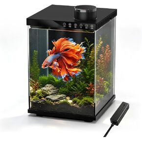 AQUASMITH 4 Gallon Fish Tank with Auto Feeder, Quiet Filter Pump, Full-Spectrum LED Light, Temperature Display, Ultra-Clear Glass Desktop Aquarium Kit for Betta Shrimp Tetra in Kuwait
