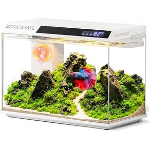 BUCATSTATE 2.6 Gallon Small Fish Tank, 3 Stage Filtration Aquarium (White) in Saudi Arabia