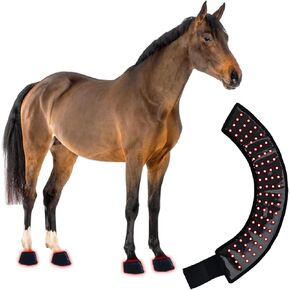 Horse Red Light Therapy Wrap, 660nm 850nm, Hoof Knee Hock Relief in Kuwait