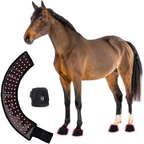 GOURIXIN Horse Hoof Red Light Therapy Wrap, 660nm 850nm in Kuwait