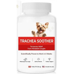 Dog Cough Relief Chewable,Kennel Cough,Dry,Wet,Wheezing,Honking & Phlegm Comfort,Supports Collapsed Trachea and Asthma,with Slippery Elm and Quercetin,Vet-Formulate,for All Breeds,120 Count in Kuwait