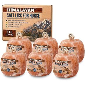 6 Himalayan Salt Block for Horses with Rope Natural Horse Salt Lick for Hydration and Mineral Support in Kuwait