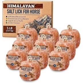 10 Himalayan Salt Block for Horses with Rope Natural Horse Salt Lick for Hydration and Mineral Support in Kuwait