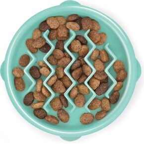 Outward Hound Fun Feeder Slo Bowl Dog Slow Feeder, Wave, Mint, 5.8" in Kuwait