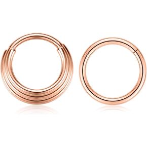 PEAKLINK 16G الحاجز مجوهرات Daith الأقراط 316L الجراحية الصلب محارة هوب الأقراط 2PCS سلس الفرس الأنف الدائري الزنمة اللولب الرخ ثقب المجوهرات الغضروف الفص هوب الأقراط 8 مم 10 مم in Saudi Arabia