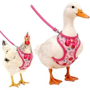 Duck Harness with Leash, Chicken Harness Vest for Goose Hans Pink, Medium in Kuwait