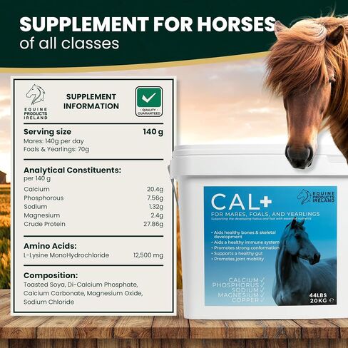 – Cal+ – Calcium & Mineral Horse Supplements for Mares, Foals & Yearlings, Supports Bone Strength, Immune System & Skeletal Horse Feed Development – 10 kg (22 lbs) in Kuwait