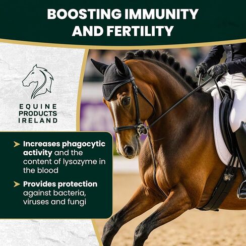 – Cal+ – Calcium & Mineral Horse Supplements for Mares, Foals & Yearlings, Supports Bone Strength, Immune System & Skeletal Horse Feed Development – 10 kg (22 lbs) in Kuwait