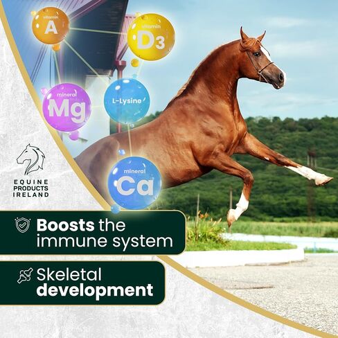 – Cal+ – Calcium & Mineral Horse Supplements for Mares, Foals & Yearlings, Supports Bone Strength, Immune System & Skeletal Horse Feed Development – 10 kg (22 lbs) in Kuwait