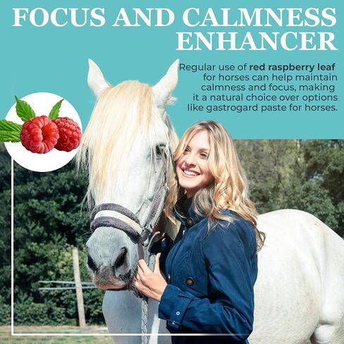 EQUERRY'S Angel Maker, Raspberry Leaf, Microencapsulated Probiotics Supplement for Horse Ulcer Treatment & Digestive Health Calmness & Focus 8 oz in Kuwait
