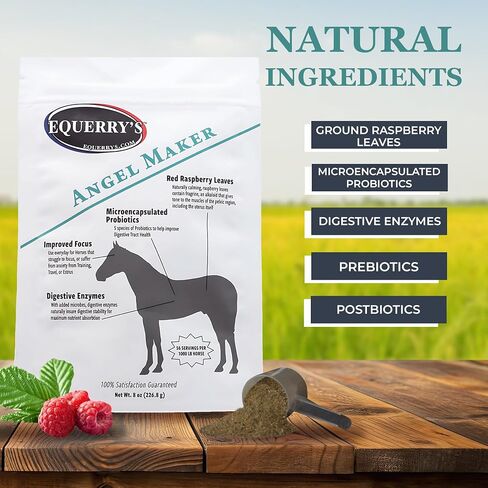 EQUERRY'S Angel Maker, Raspberry Leaf, Microencapsulated Probiotics Supplement for Horse Ulcer Treatment & Digestive Health Calmness & Focus 8 oz in Kuwait