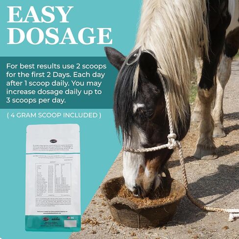 EQUERRY'S Angel Maker, Raspberry Leaf, Microencapsulated Probiotics Supplement for Horse Ulcer Treatment & Digestive Health Calmness & Focus 8 oz in Kuwait