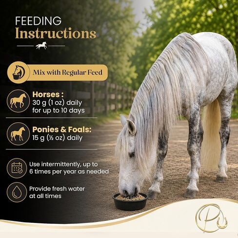Parkmore Horse Detox & Gut Support Supplement with Steam-Activated Charcoal in Kuwait
