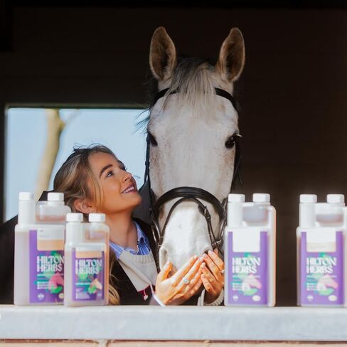 Hilton Herbs Milk Thistle Plus Gold Liver & Kidney Support Horse Supplement Liquid 1.05pnt, Natural Equine Herbal in Saudi Arabia