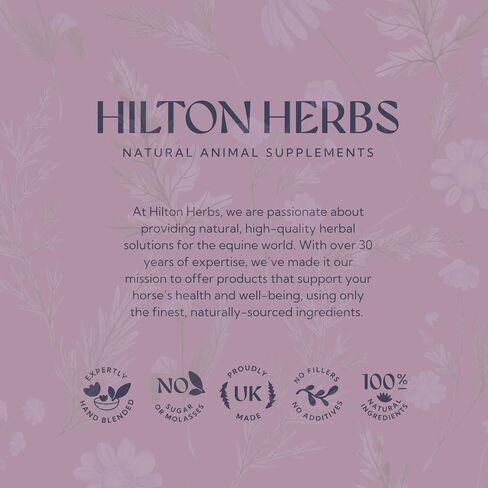 Hilton Herbs Milk Thistle Plus Gold Liver & Kidney Support Horse Supplement Liquid 1.05pnt, Natural Equine Herbal in Saudi Arabia