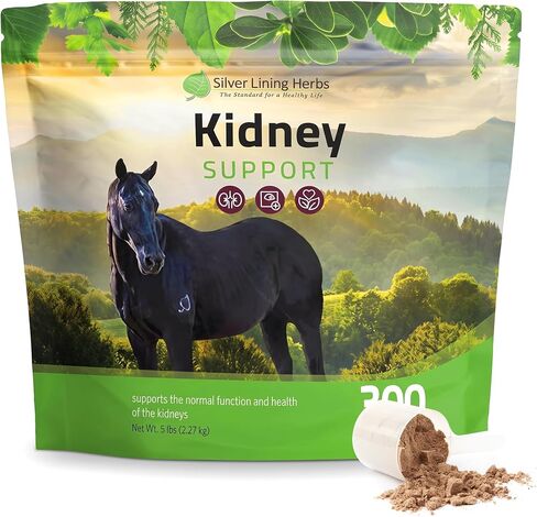Silver Lining Herbs Kidney Support Supplement for Horses - 1 lb in Kuwait