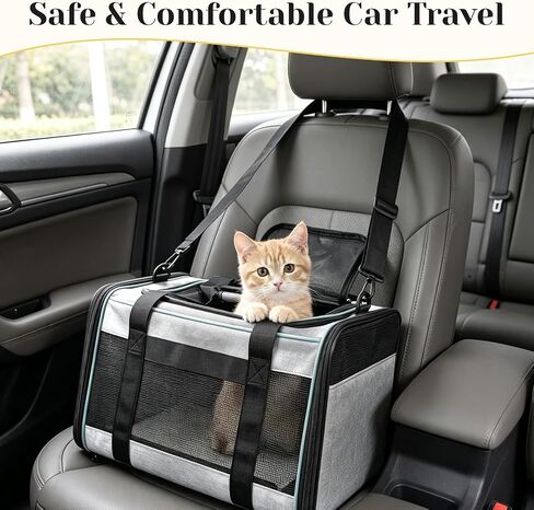 Airline Approved Travel Soft-Sided Carrier with Wheels for Small Pets in Kuwait