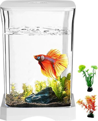 PINVNBY Small Fish Tank, 0.5 Gallon Acrylic Aquarium Starter Kits with 2 PCS Plastic Aquatic Plants, Betta Fish Tank for Shrimp Guppy Jellyfish Goldfish Beta, Room Decor Desktop in Kuwait