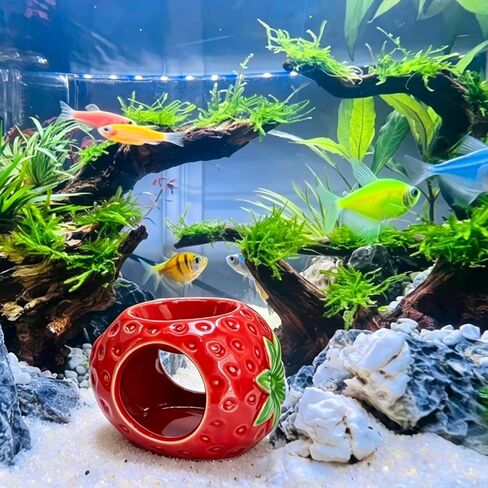 Ceramic Strawberry Aquarium Cave Double Hole Aquarium Hideout in Kuwait