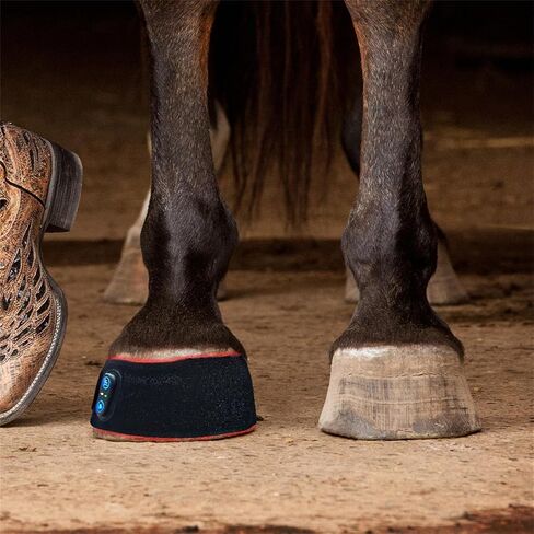 Horse Red Light Therapy Wrap, 660nm 850nm, Hoof Knee Hock Relief in Kuwait