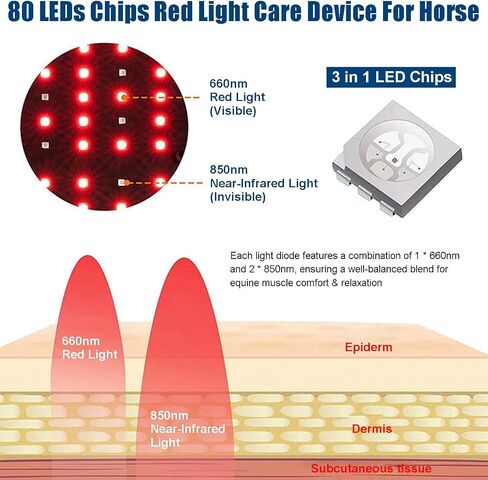 GOURIXIN Horse Hoof Red Light Therapy Wrap, 660nm 850nm in Kuwait