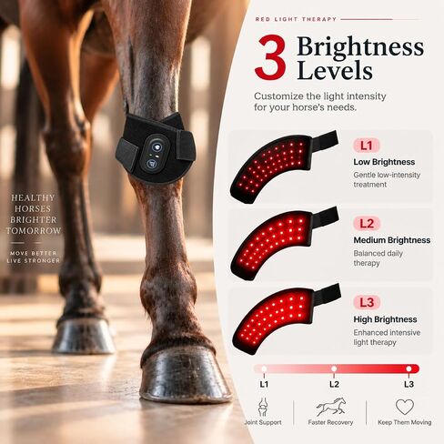 4 Modes&3 Brightness Levels Red Light Therapy for Horse Leg Joint&Hoof Wrap in Kuwait