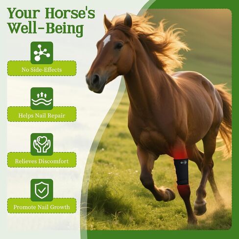 Horse Red Light Therapy Wrap, 105-LED 660nm Equine Leg Wrap, Cordless in Kuwait
