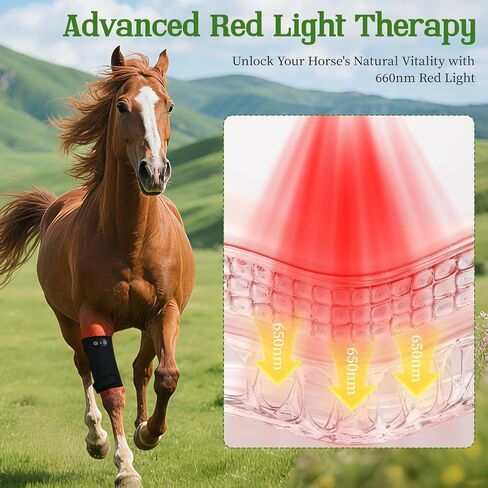 Horse Red Light Therapy Wrap, 105-LED 660nm Equine Leg Wrap, Cordless in Kuwait