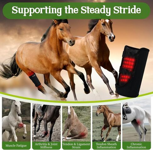 Horse Red Light Therapy Wrap, 105-LED 660nm Equine Leg Wrap, Cordless in Kuwait