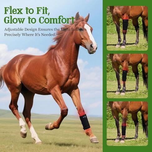 Horse Red Light Therapy Wrap, 105-LED 660nm Equine Leg Wrap, Cordless in Kuwait