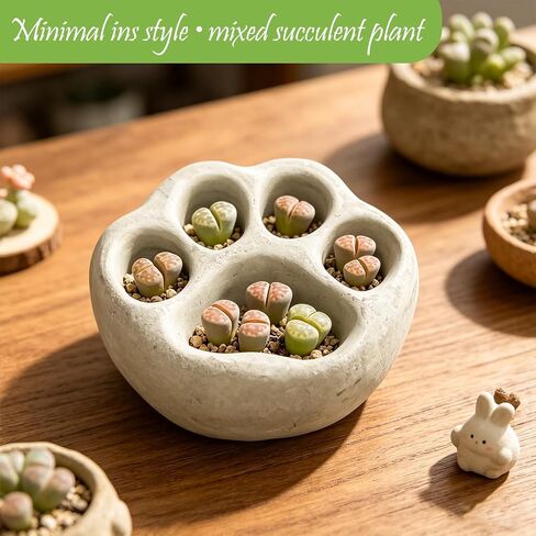 Rockery Diorama Rocks Stone for Diorama Moss Supplies Miniature Terrain Fairy Garden Stone Shaped Cat's Paw Garden Accessories Terrarium Decor Tank Aquarium Decoration in Kuwait