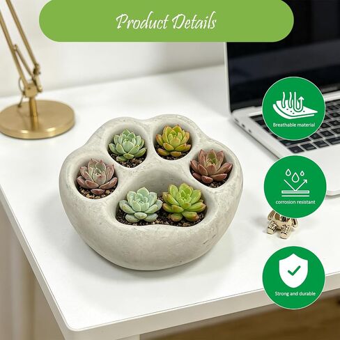 Rockery Diorama Rocks Stone for Diorama Moss Supplies Miniature Terrain Fairy Garden Stone Shaped Cat's Paw Garden Accessories Terrarium Decor Tank Aquarium Decoration in Kuwait