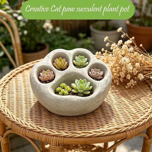 Rockery Diorama Rocks Stone for Diorama Moss Supplies Miniature Terrain Fairy Garden Stone Shaped Cat's Paw Garden Accessories Terrarium Decor Tank Aquarium Decoration in Kuwait
