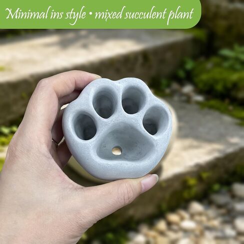 Rockery Diorama Rocks Stone for Diorama Moss Supplies Miniature Terrain Fairy Garden Stone Shaped Cat's Paw Garden Accessories Terrarium Decor Tank Aquarium Decoration in Kuwait