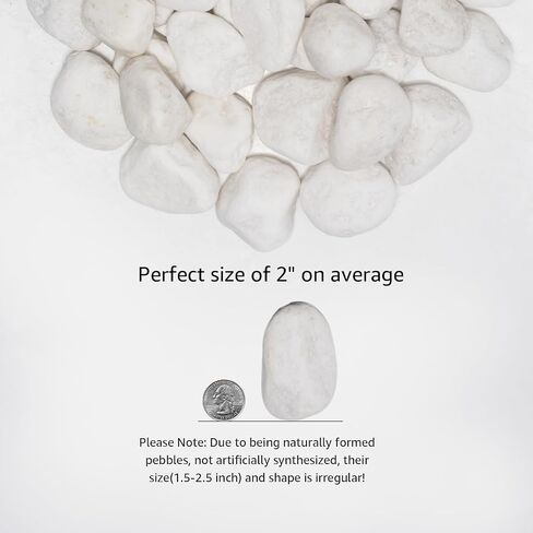 White Natural River Rocks, 1.5-2.5 Inch Decorative Stones for Plants, Garden, and Landscaping – 10LB, Ideal for Fish Tanks, Vases, Crafting, Home Decor, and Outdoor Landscaping in Saudi Arabia