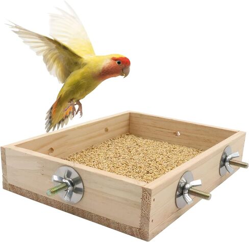 Bird Feeding Cups, Natural Wooden Parrot Perch Stand, Birds Food Dish, Parakeets Feeder Bowl, Cage Accessories for Small Animals Rat Hamster Guinea Pig Chinchillas Budgies Cockatiels Love Birds in Kuwait