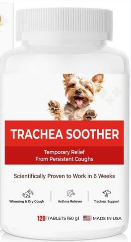 Dog Cough Relief Chewable,Kennel Cough,Dry,Wet,Wheezing,Honking & Phlegm Comfort,Supports Collapsed Trachea and Asthma,with Slippery Elm and Quercetin,Vet-Formulate,for All Breeds,120 Count in Kuwait