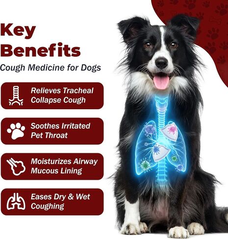 Dog Cough Relief Chewable,Kennel Cough,Dry,Wet,Wheezing,Honking & Phlegm Comfort,Supports Collapsed Trachea and Asthma,with Slippery Elm and Quercetin,Vet-Formulate,for All Breeds,120 Count in Kuwait