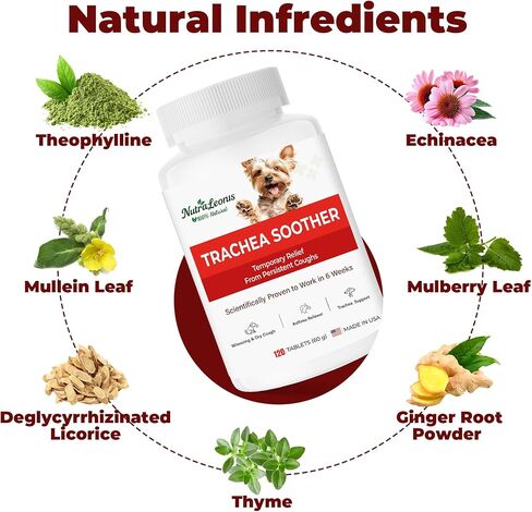 Dog Cough Relief Chewable,Kennel Cough,Dry,Wet,Wheezing,Honking & Phlegm Comfort,Supports Collapsed Trachea and Asthma,with Slippery Elm and Quercetin,Vet-Formulate,for All Breeds,120 Count in Kuwait