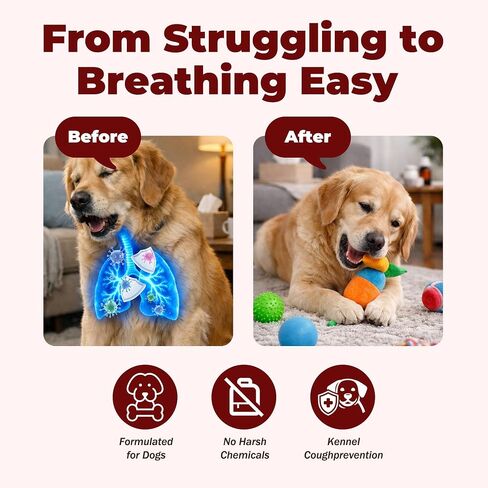 Dog Cough Relief Chewable,Kennel Cough,Dry,Wet,Wheezing,Honking & Phlegm Comfort,Supports Collapsed Trachea and Asthma,with Slippery Elm and Quercetin,Vet-Formulate,for All Breeds,120 Count in Kuwait