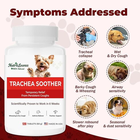 Dog Cough Relief Chewable,Kennel Cough,Dry,Wet,Wheezing,Honking & Phlegm Comfort,Supports Collapsed Trachea and Asthma,with Slippery Elm and Quercetin,Vet-Formulate,for All Breeds,120 Count in Kuwait